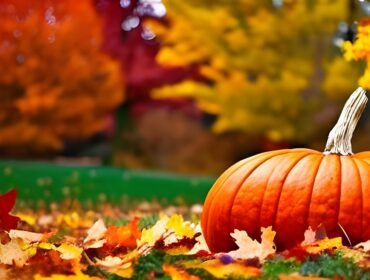 fall-7558508_960_720.jpg