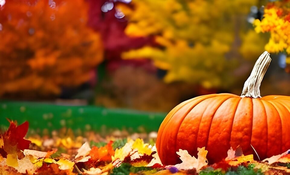 fall-7558508_960_720.jpg